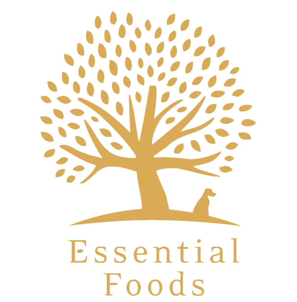 Essential Foods | Uzbekistan