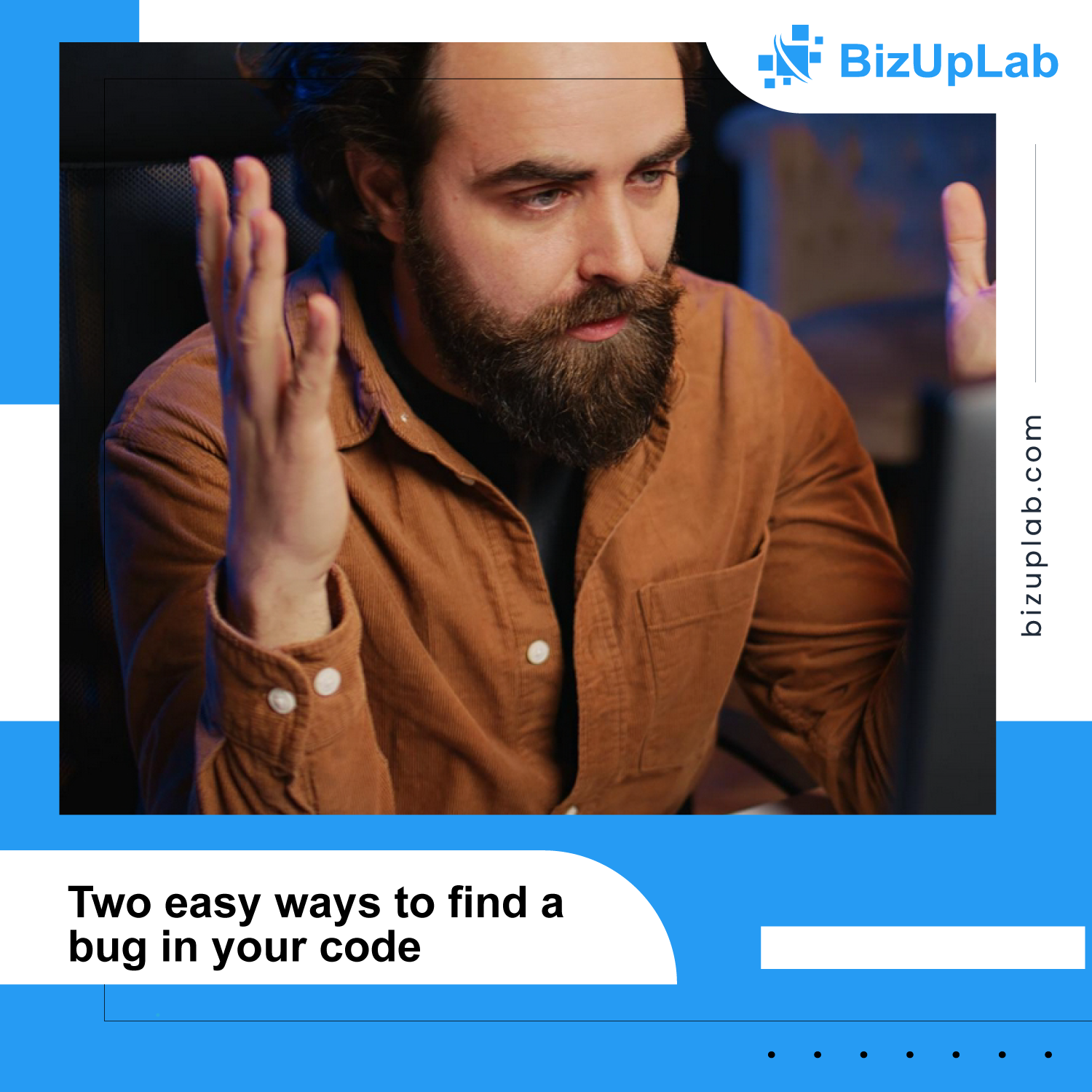 Tips on how to find a bug in code BizUPLab