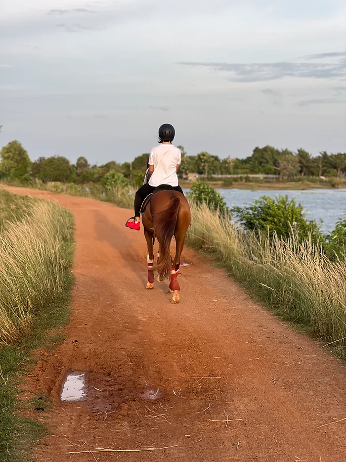 Quiet morning at Vonfidel Ranch