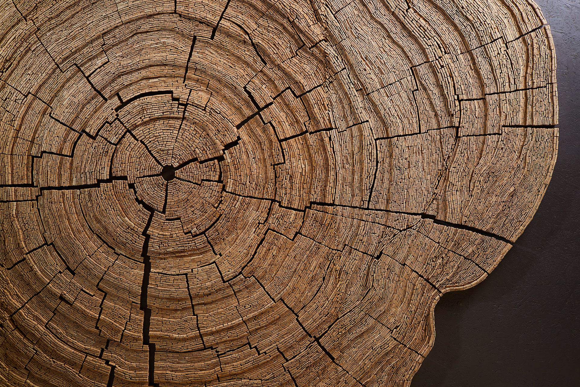 Affordable Art Depths of Antiquity by Tor Design