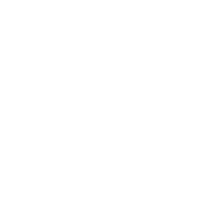 website icon