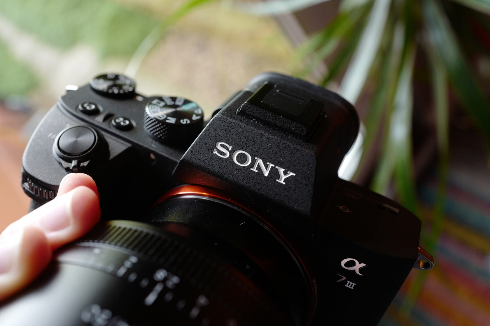 Sony a7III — Правдивый Обзор