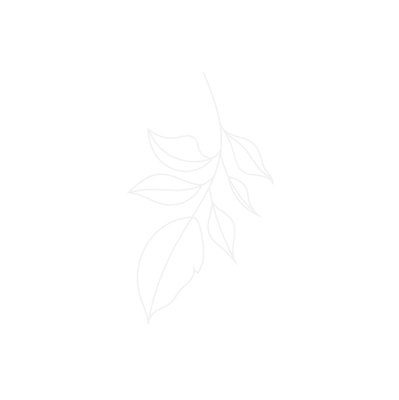 Специалисты салона красоты и спа Гринмания в Нижнем Новгороде