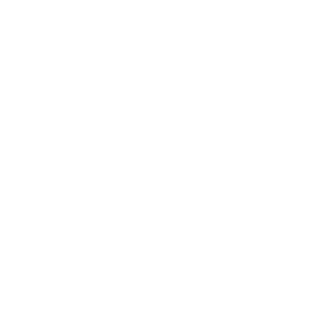 website icon