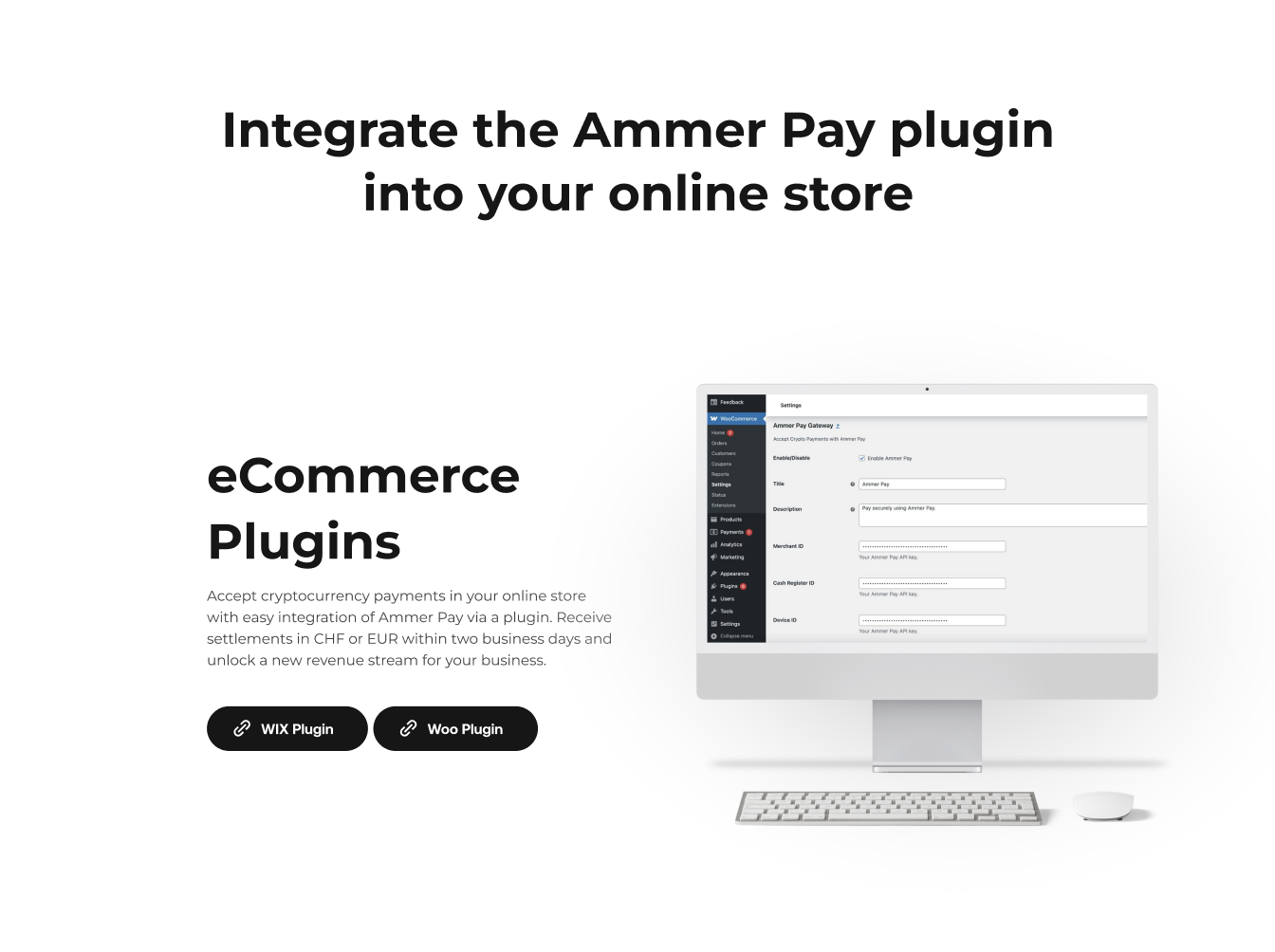 AmmerPay E-commerce: Crypto Payments for Your Online Store with CMS plugins