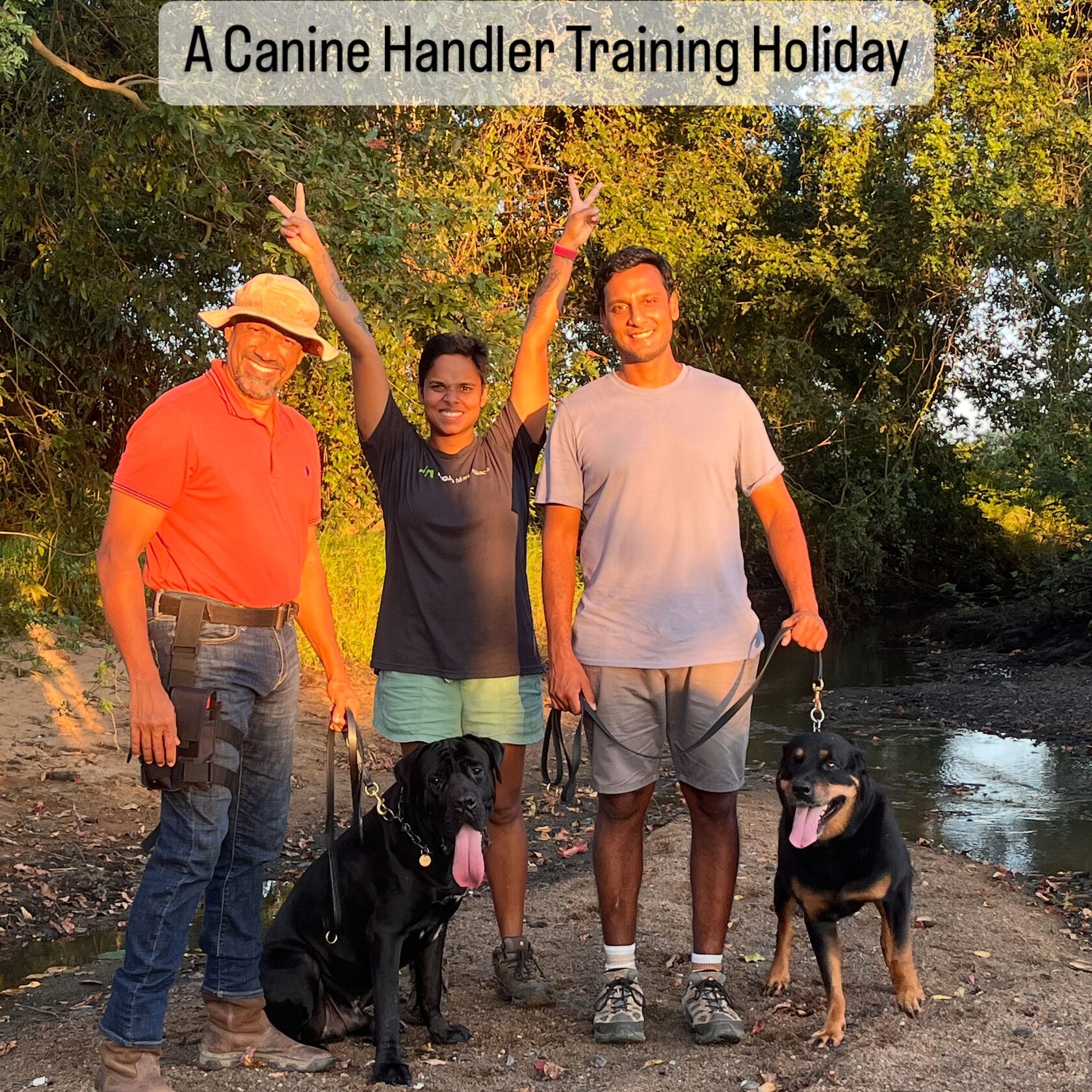 Canine consultancy and temperament assessment at VONFIDEL K9