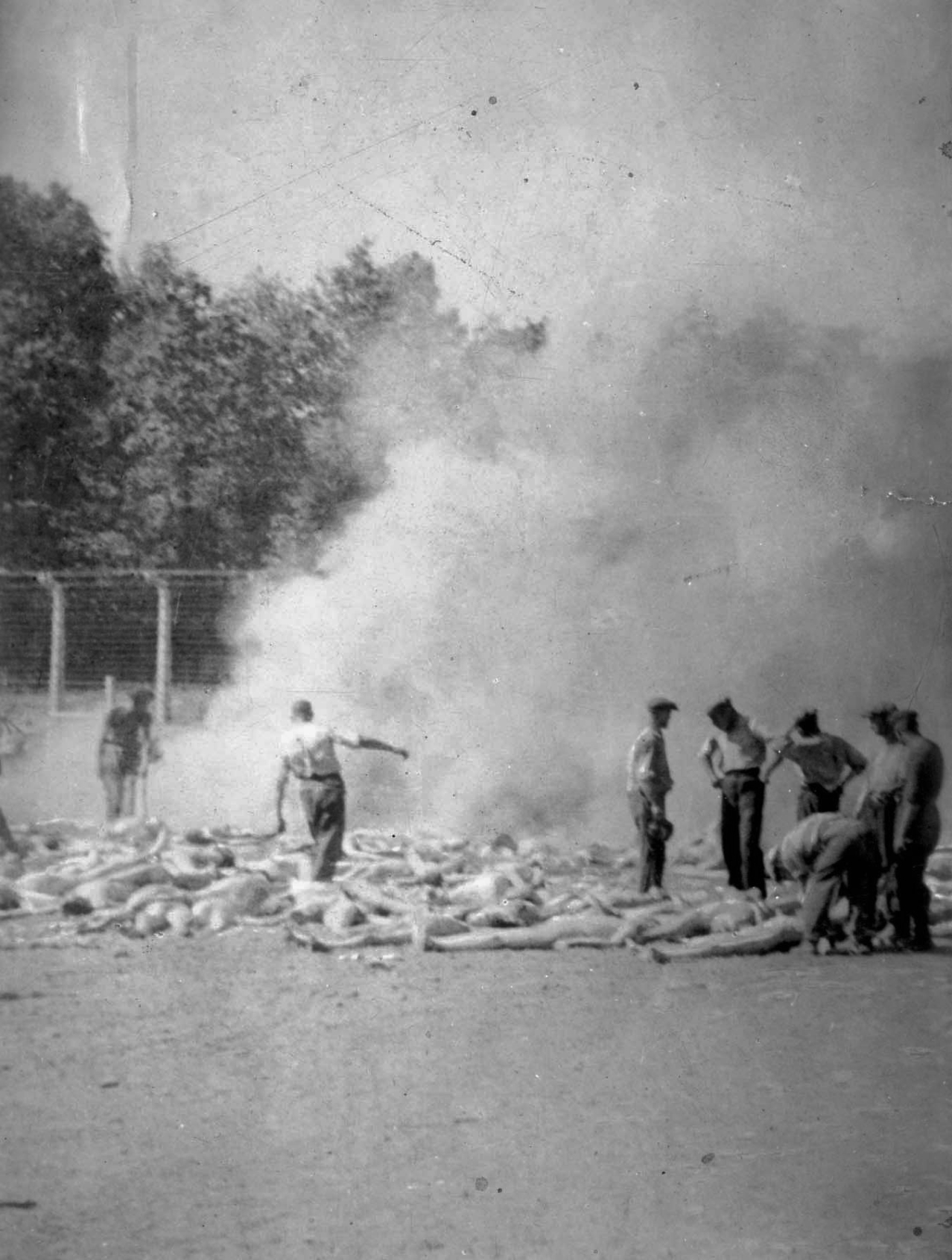 Фотография Альберта (Алекса) Эррера, Аушвиц, Холокост