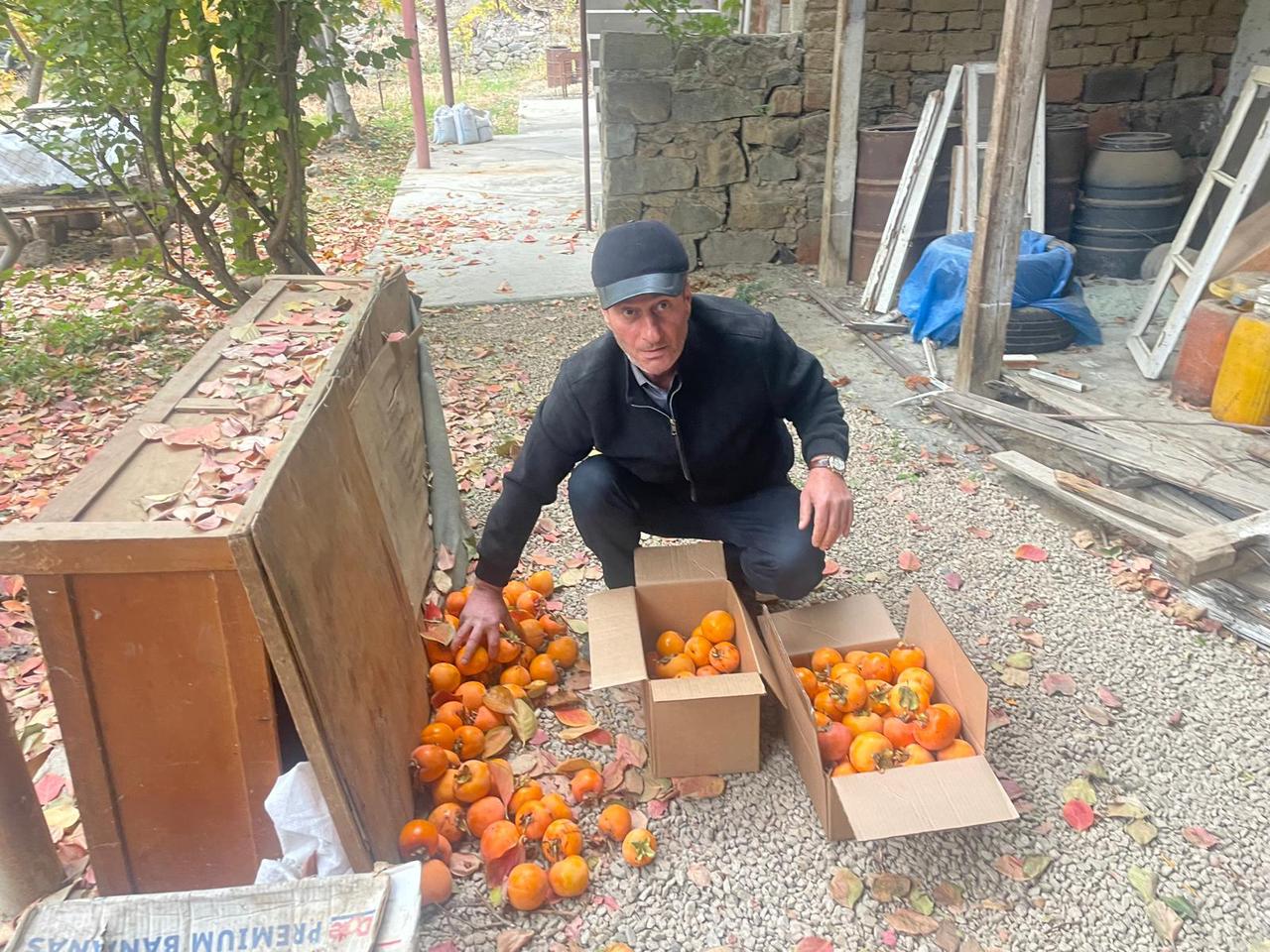 Անաստասիայի արխիվից