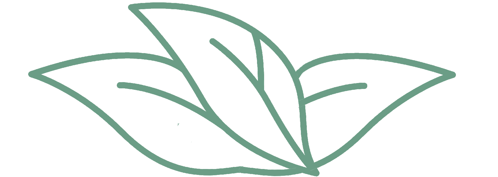 ІРИНА МІНЬКОВСЬКА