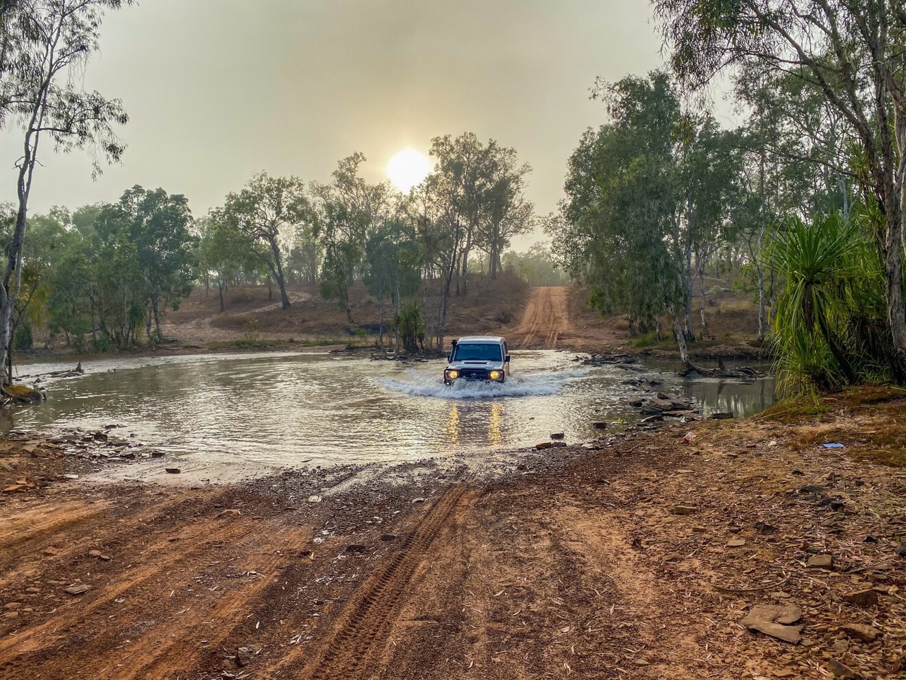 Services For Australian Rural And Remote Allied Health Ltd logo