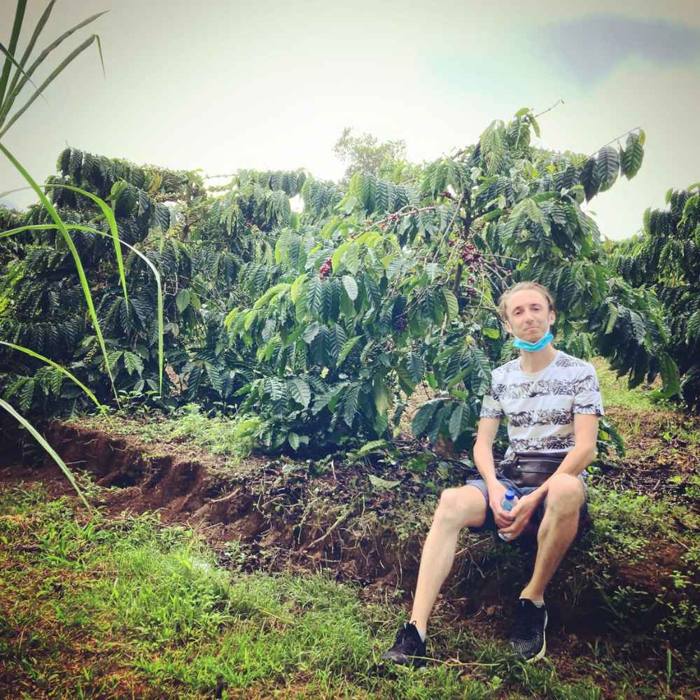 Robusta coffee vietnam