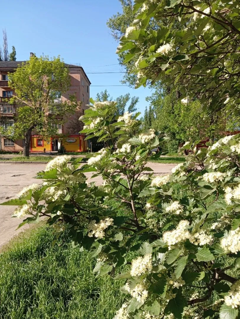 Панорама міста
