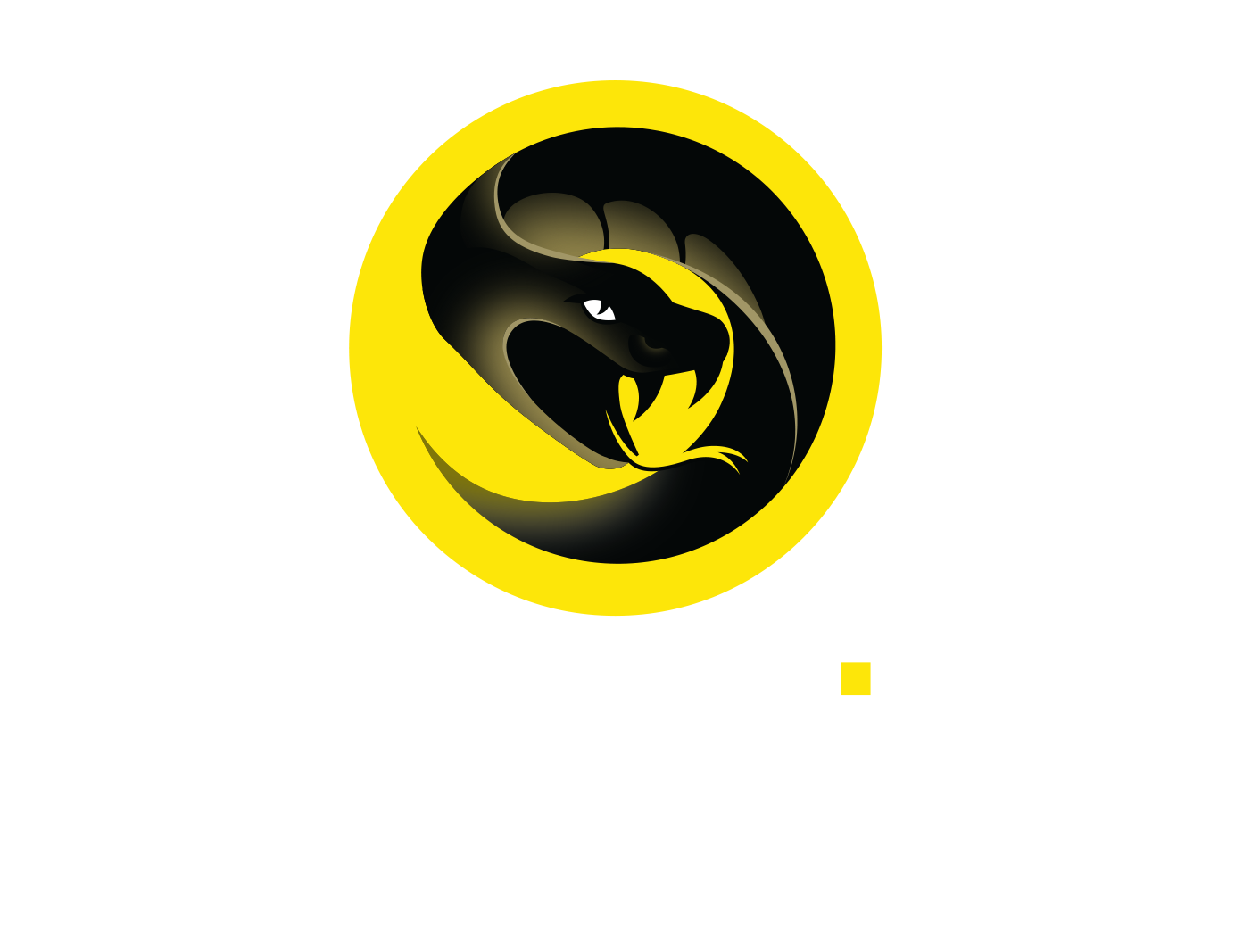 https://coursecyber.co.il/