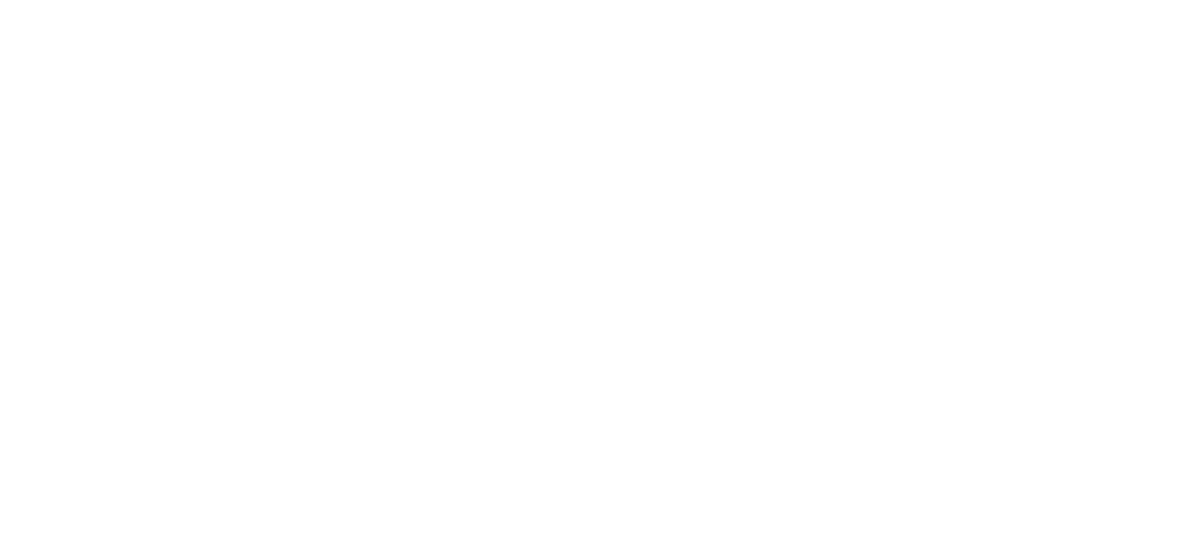  RMS GLOBAL INVESTMENTS 