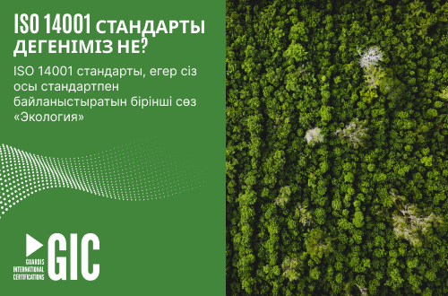 ISO 14001 стандарты дегеніміз не?