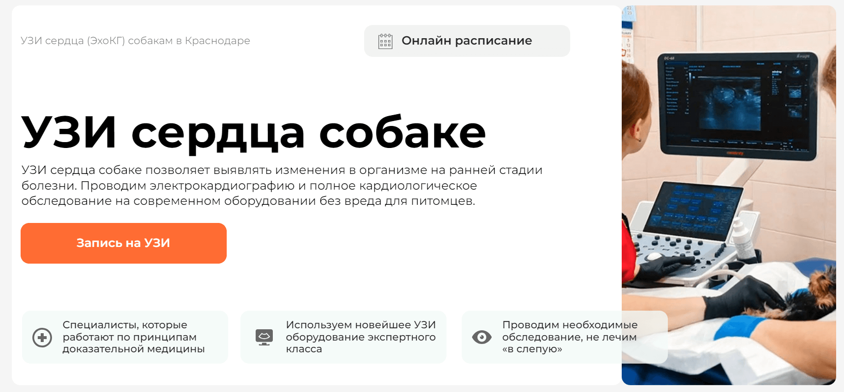 УЗИ сердца собакам в Краснодаре - Сделать УЗИ сердца (ЭхоКГ) собаке