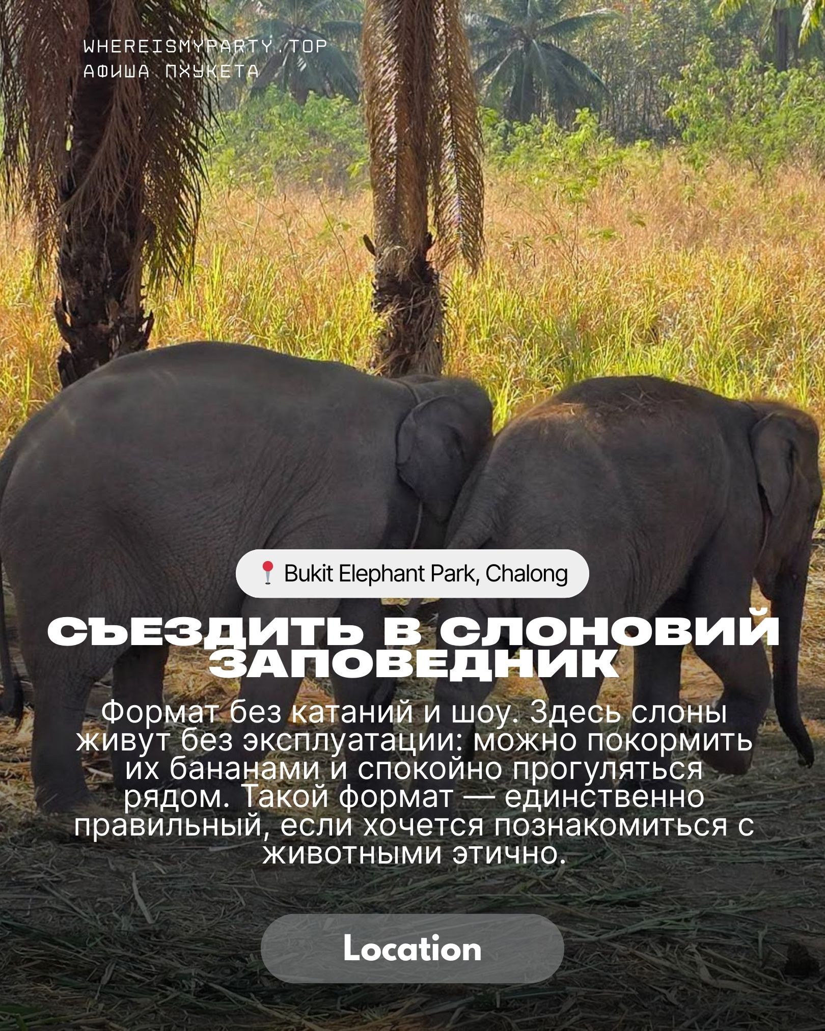Bukit Elephant на Пхукете