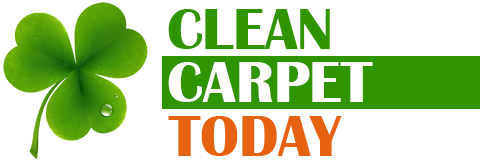 Carpet Cleaning Ireland
