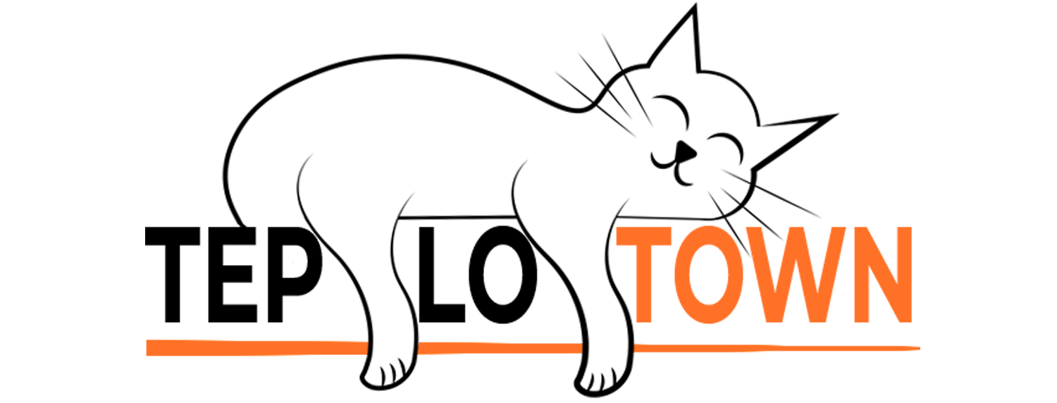 Company