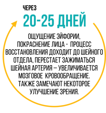 Тренажер хребта Доктор Кипарис головна