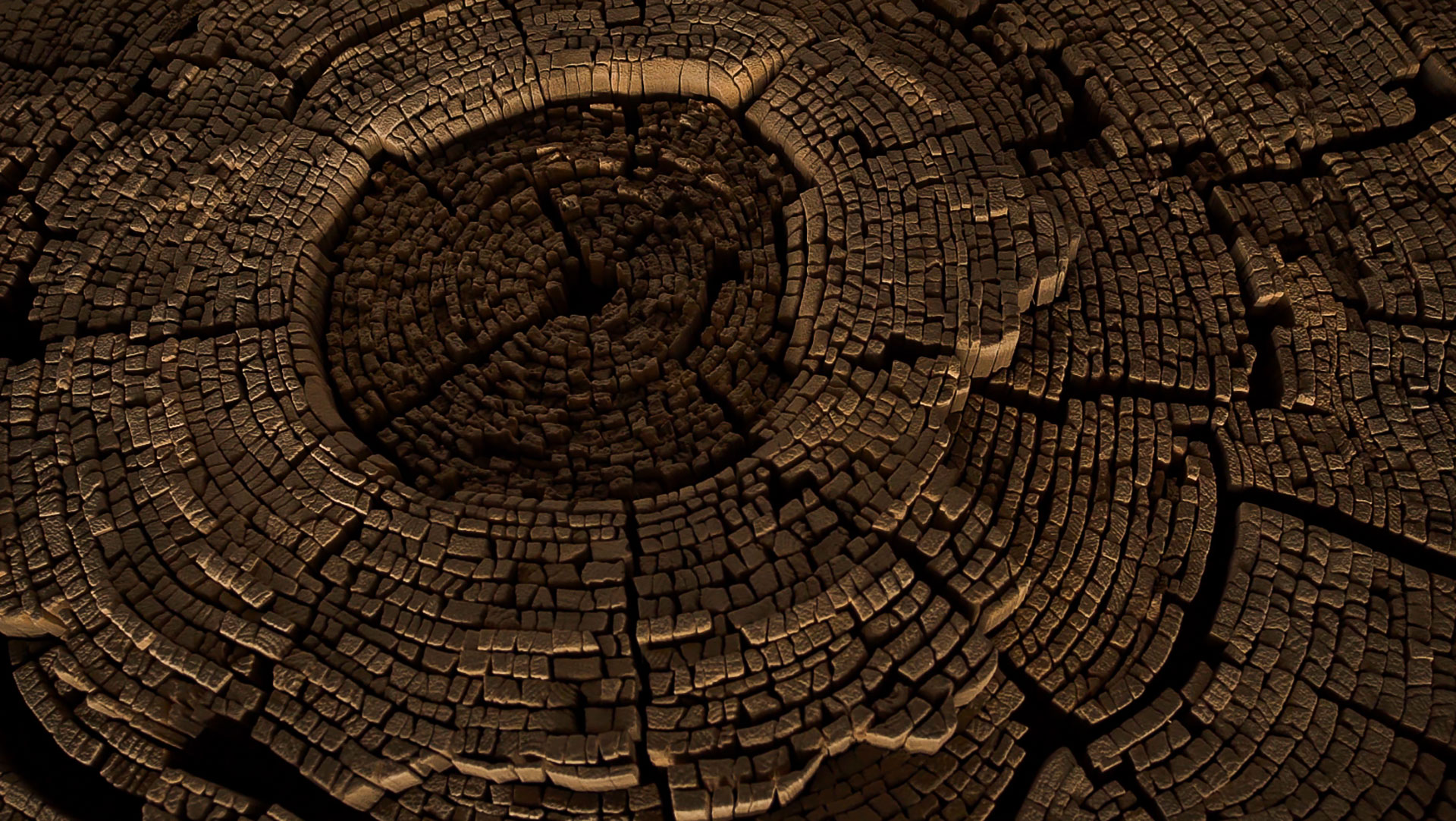 Wood Wall Decor Legend of Gondwana Project Wall Art by Tor Design