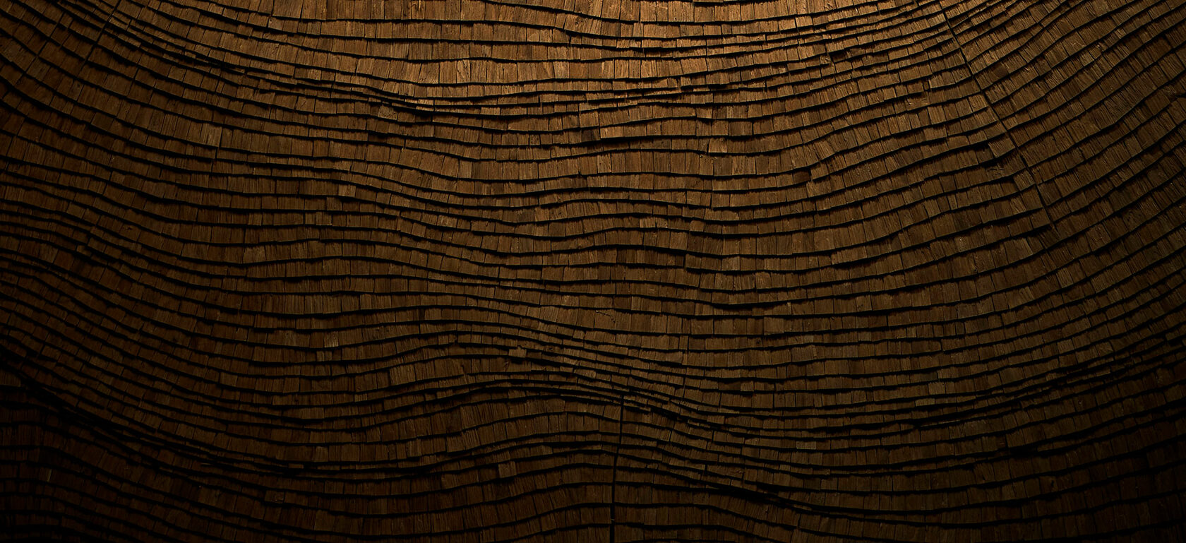 Gallery Exhibition Rays of the tree by Tor Design