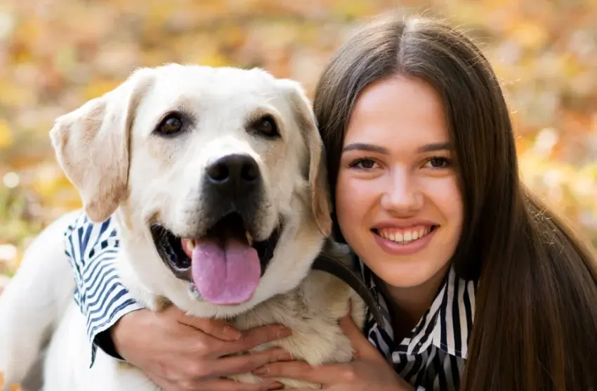 Abonnement pour Chats et Chiens