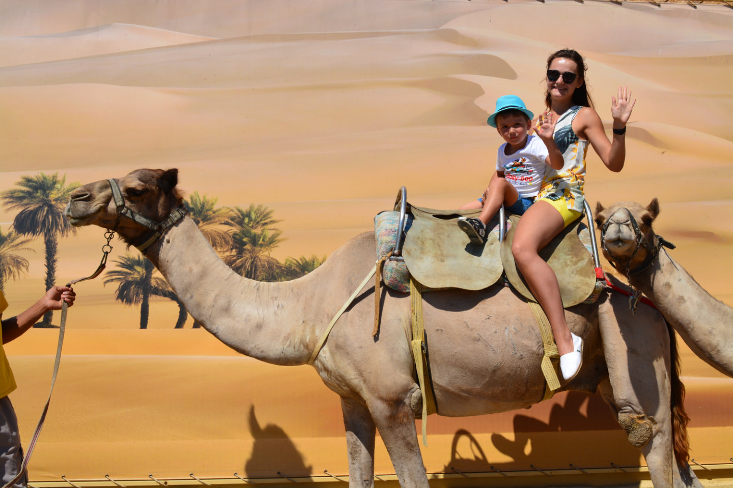 Camel Park