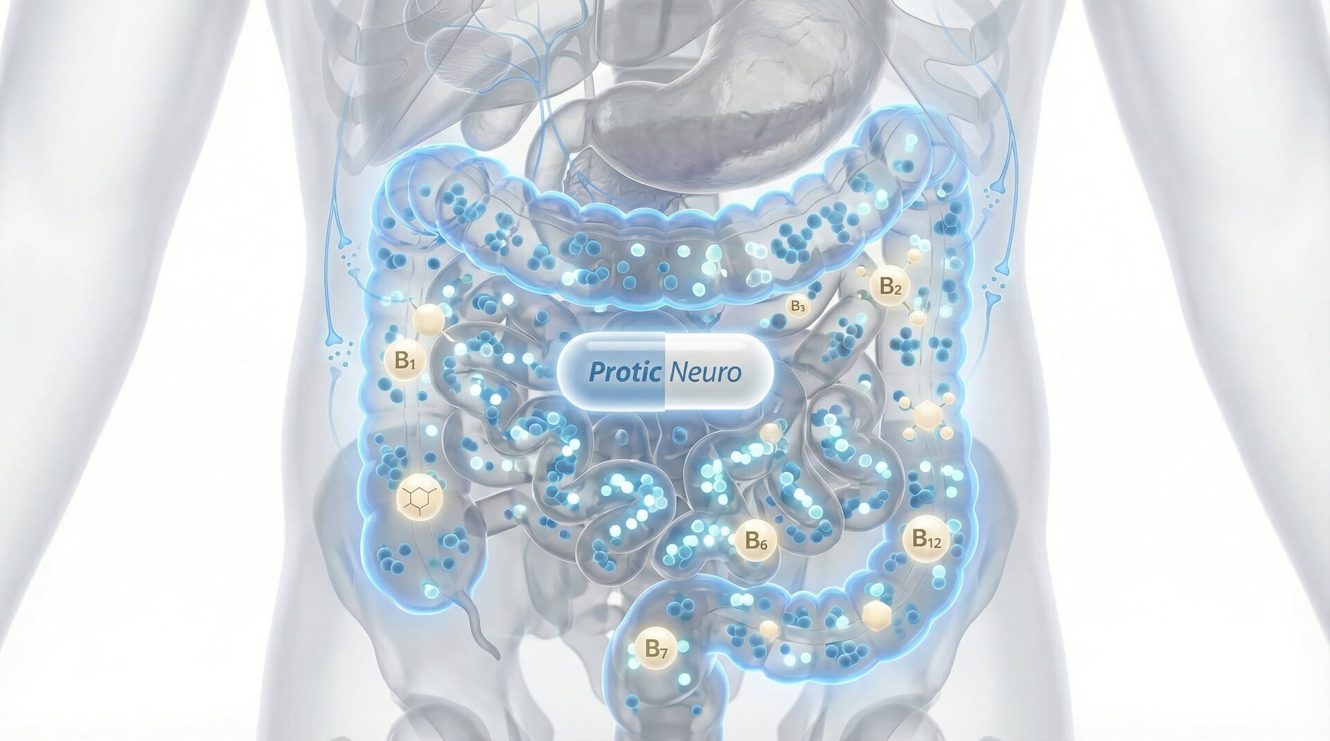 Write Protic Protic NEURO B‑Complex