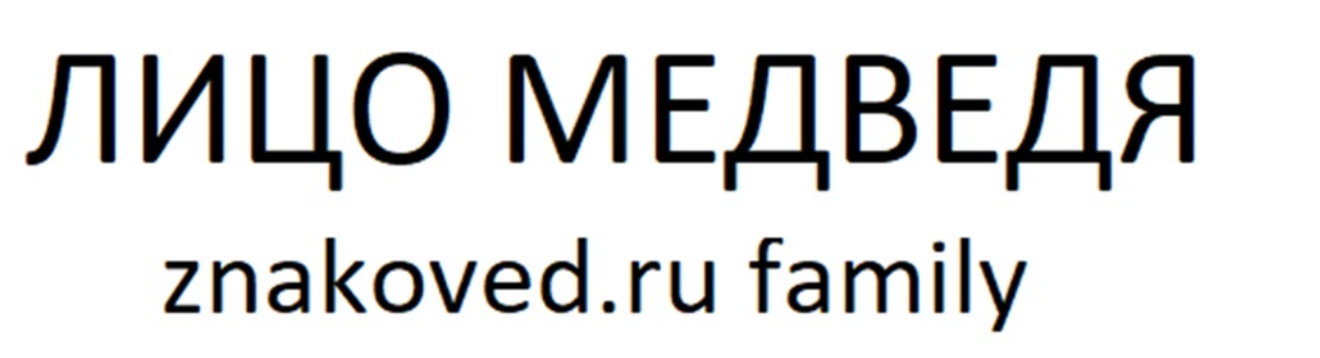 ЛИЦО МЕДВЕДЯ