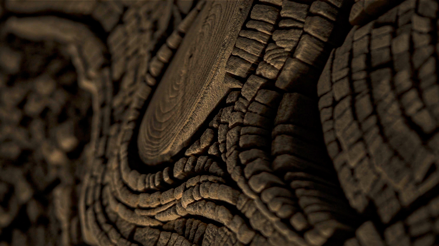 Gallery Collection Wood Decor Wall Art by Tor Design