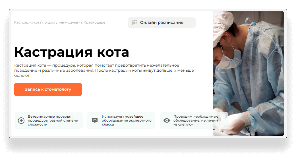 Стоимость Кастрации Кота