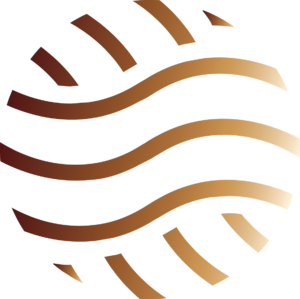 website icon