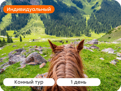 Конный тур в Чон-Кемине