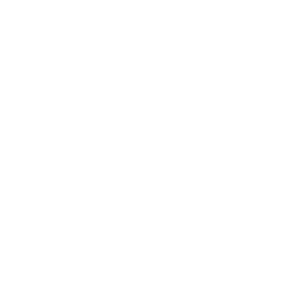 website icon