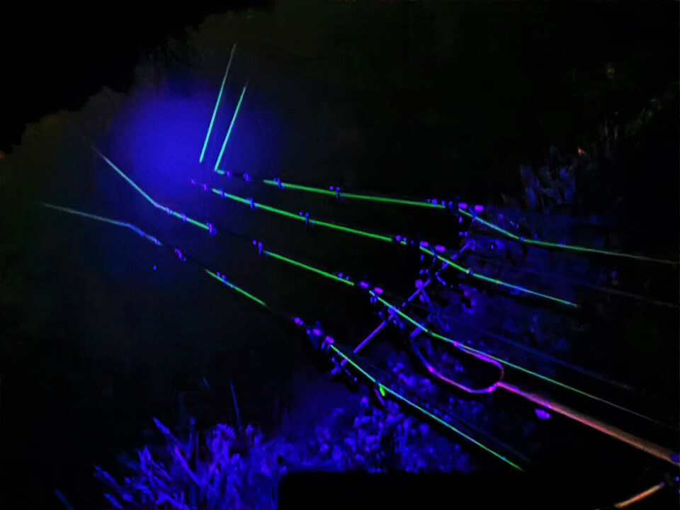 Synapse Neon line