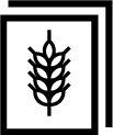 Церковь КЖ