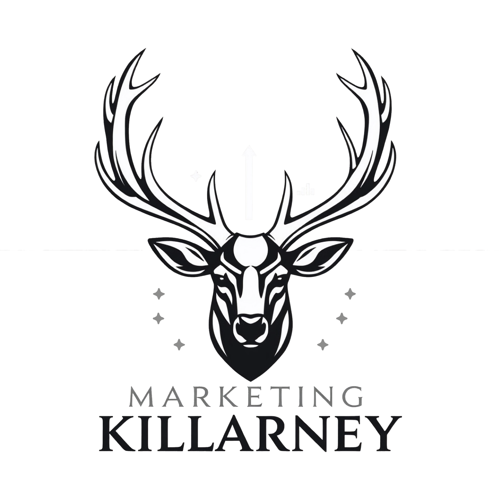 Marketing Consulting Killarney