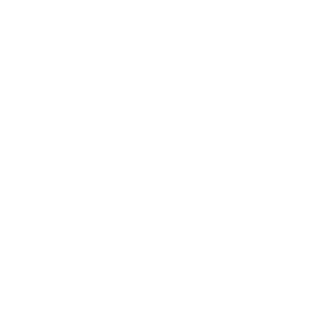 website icon