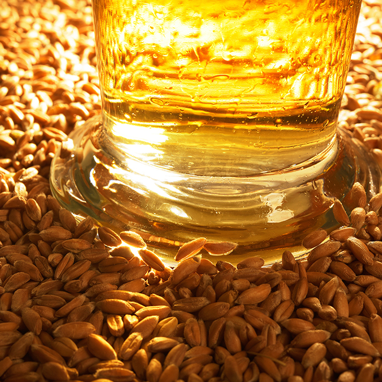barley exporters