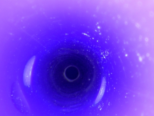 Endoscope Capture with USB Camera