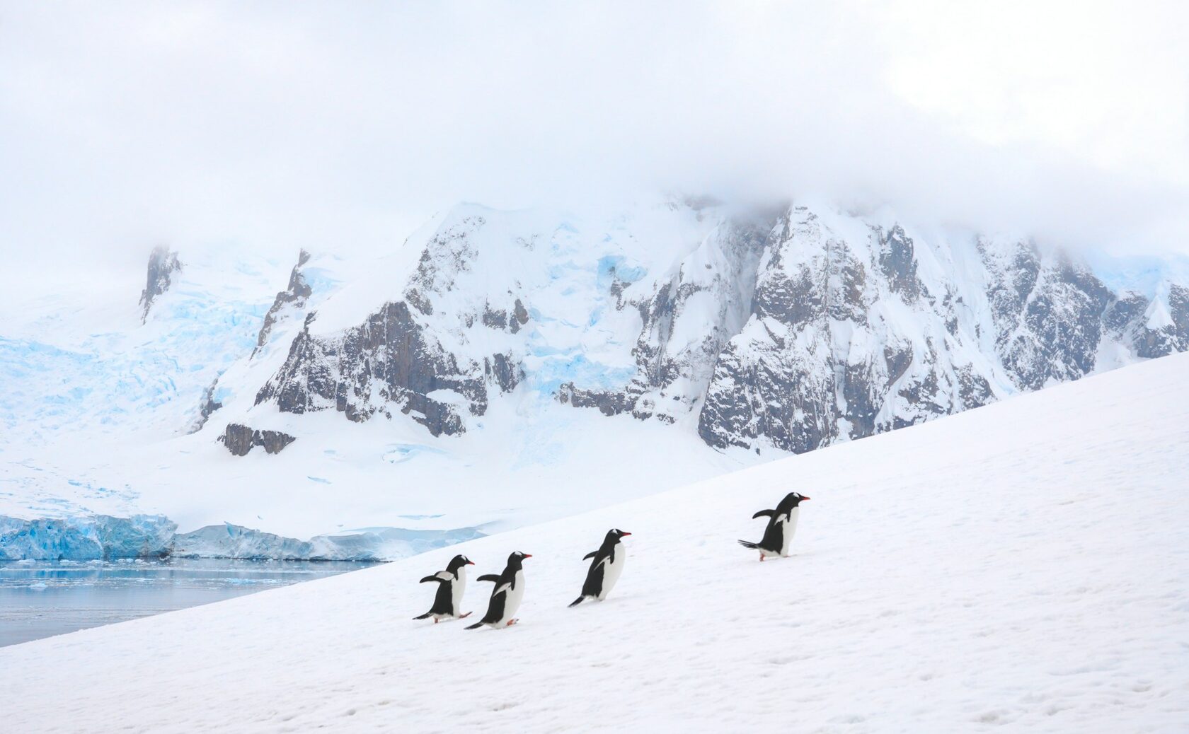 Antarctica icy landscape