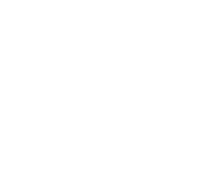 website icon