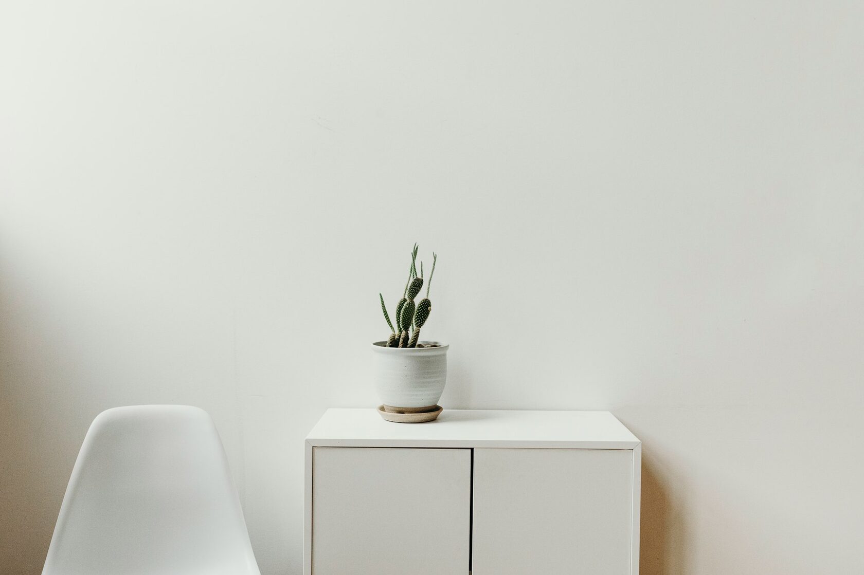 Modern Elegance