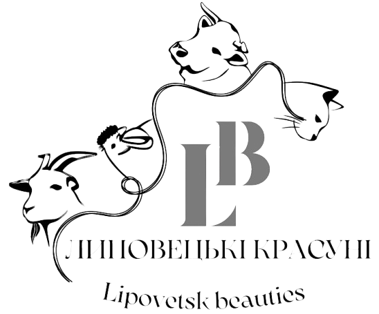lipovetsk-beauties