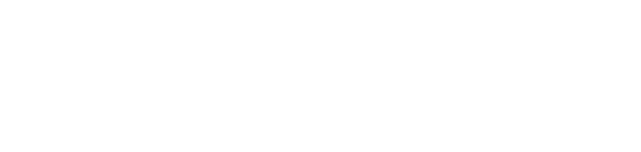 Law Firm “Roman Teslia &amp; Partners”