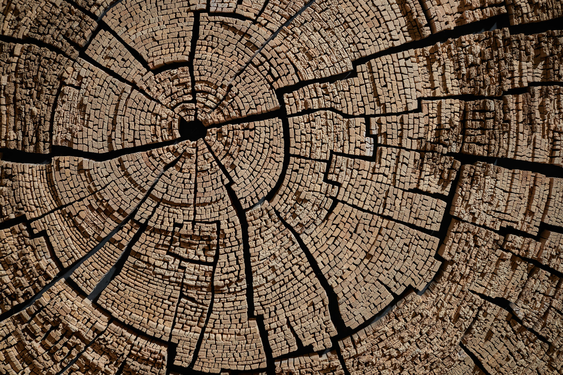 Decorative Art Depths of Antiquity by Tor Design