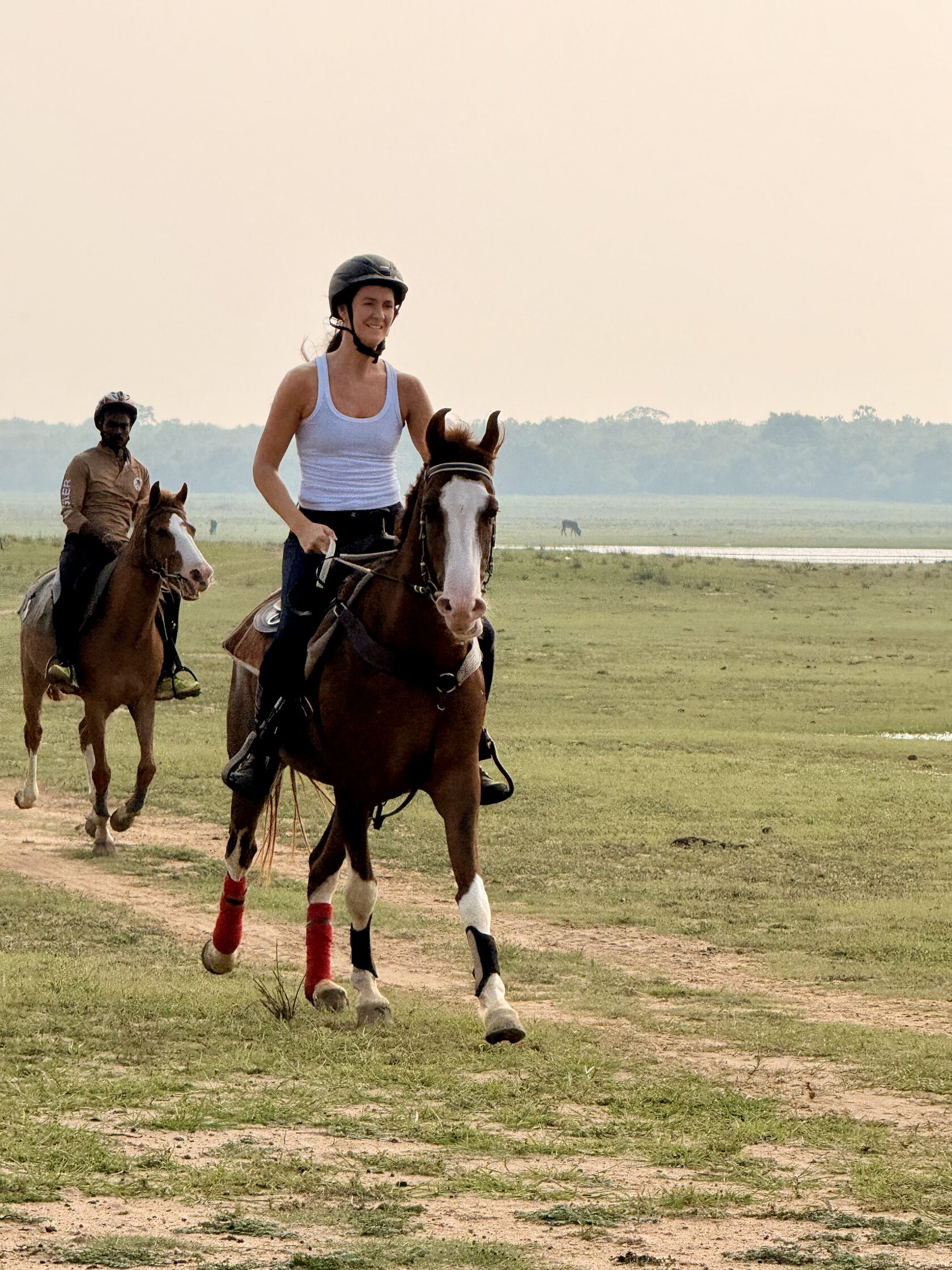 Vonfidel Ranch horsemanship and handling