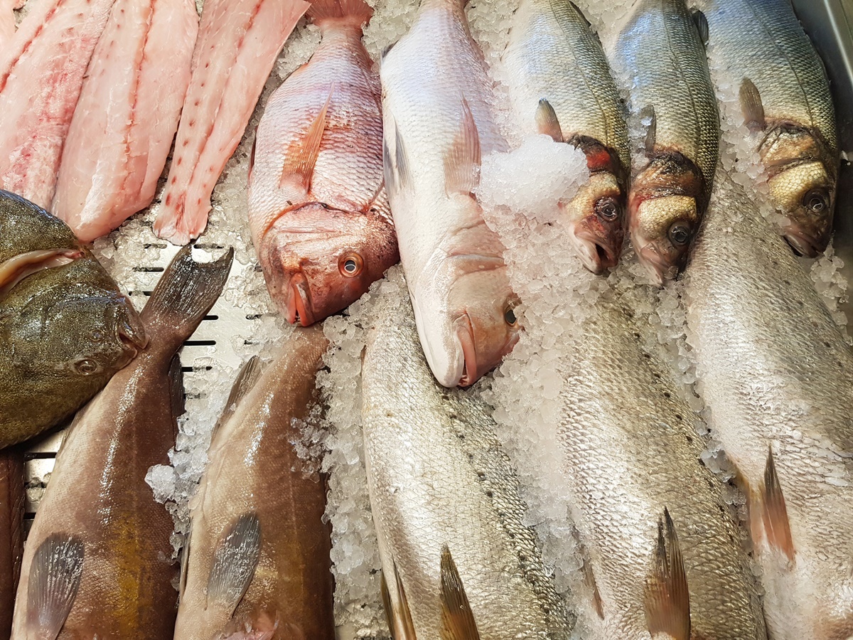 Где Купить Свежую Рыбу В Москве