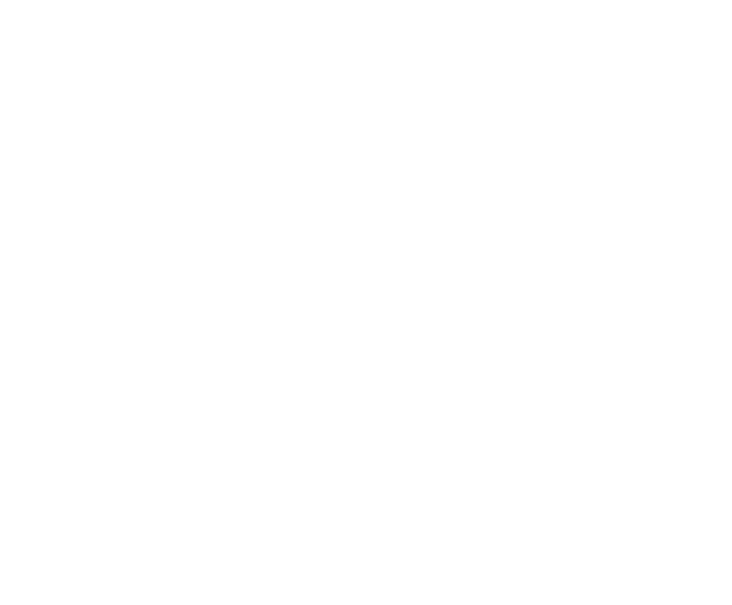 Логотип Alamis